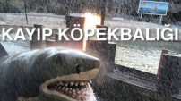 uGavole den güldüren Caps ler